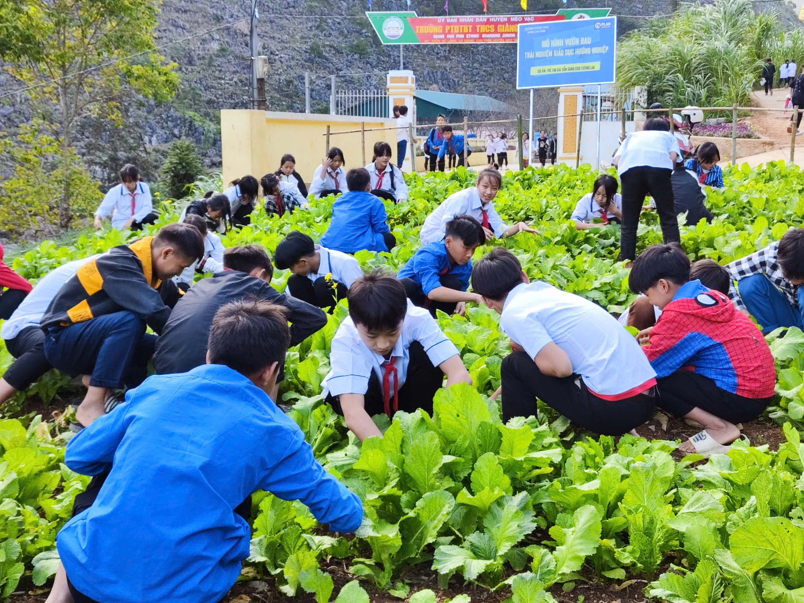 Học nghề từ những điều quen thuộc Học nghề từ những điều quen thuộc