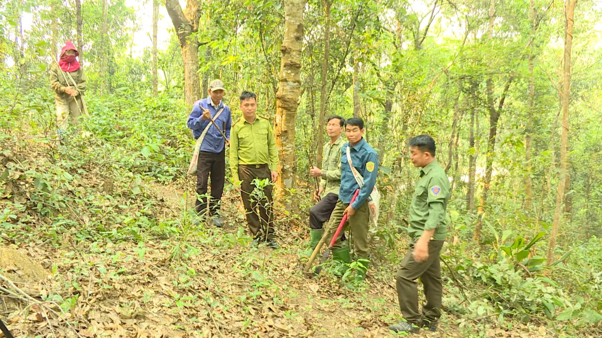 Một kiểm lâm quản lý hàng nghìn héc-ta rừng ở Điện Biên