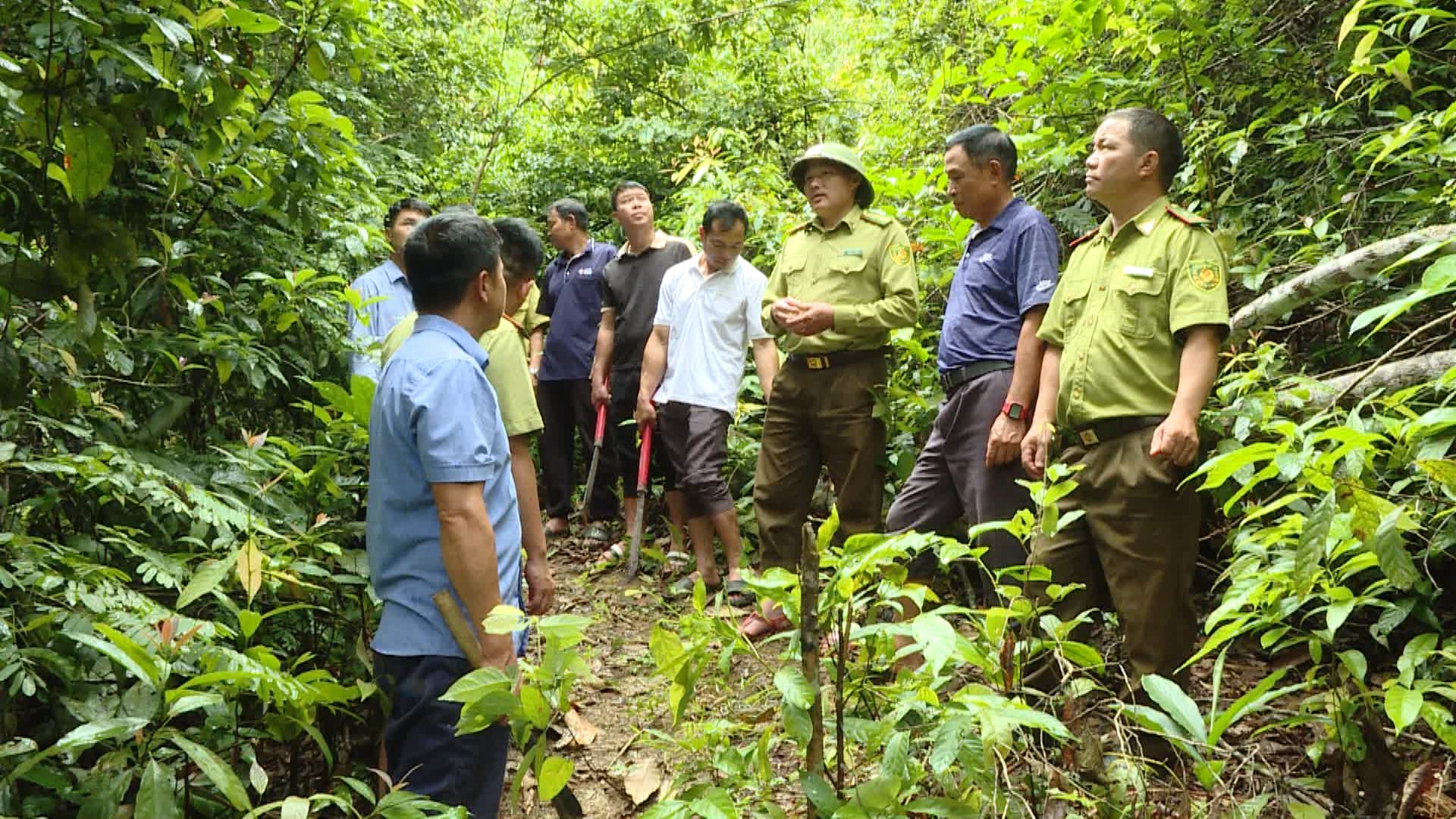 Một kiểm lâm quản lý hàng nghìn héc-ta rừng ở Điện Biên