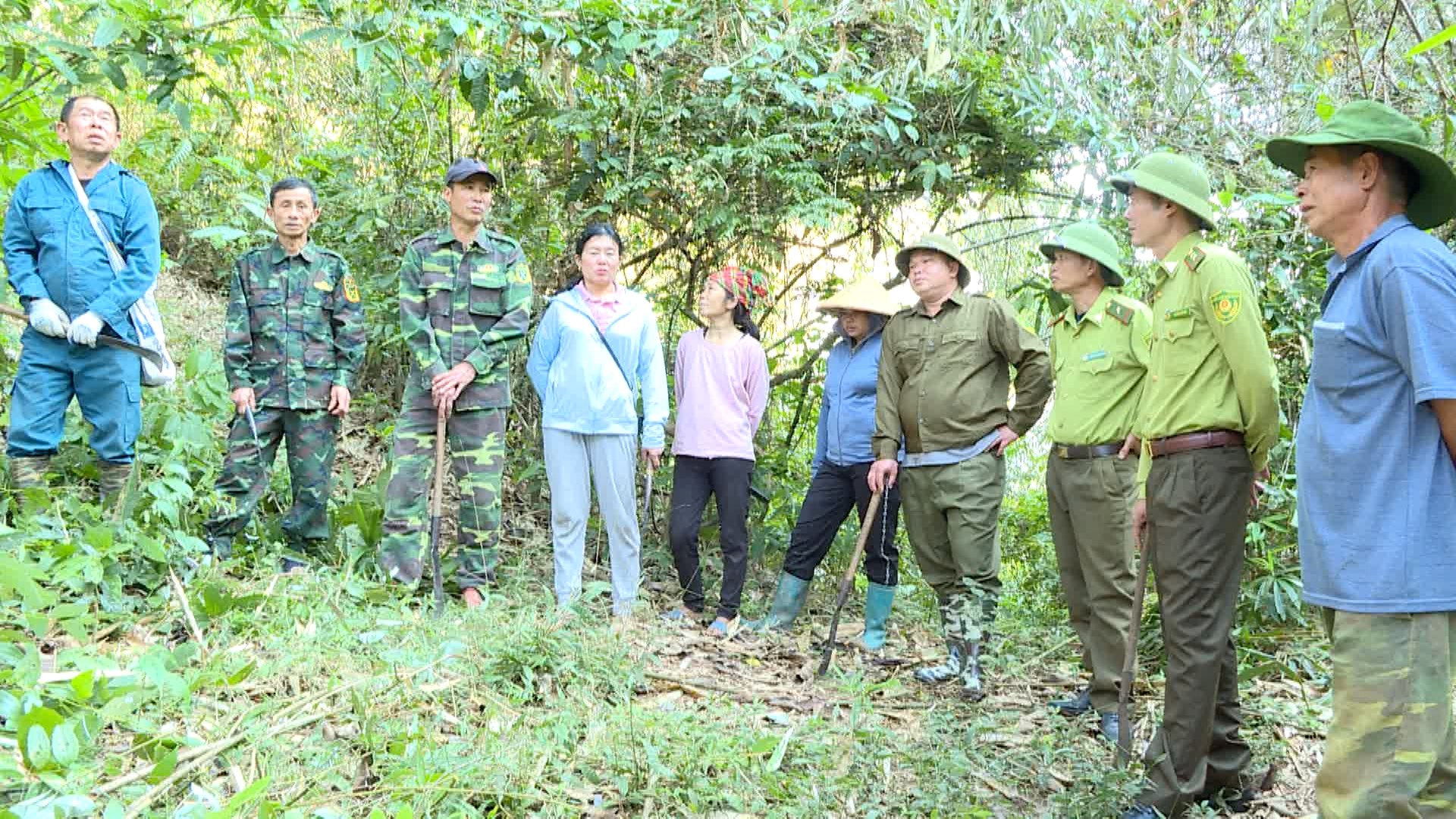 Một kiểm lâm quản lý hàng nghìn héc-ta rừng ở Điện Biên