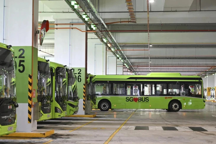 Dàn xe buýt điện tại Singapore - Ảnh: STRAITS TIMES