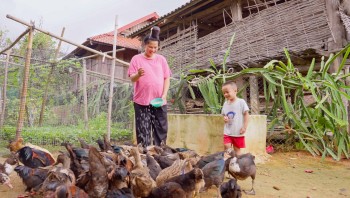 JMOFA và hành trình hồi sinh nụ cười trẻ thơ nơi đỉnh Bắc Yên