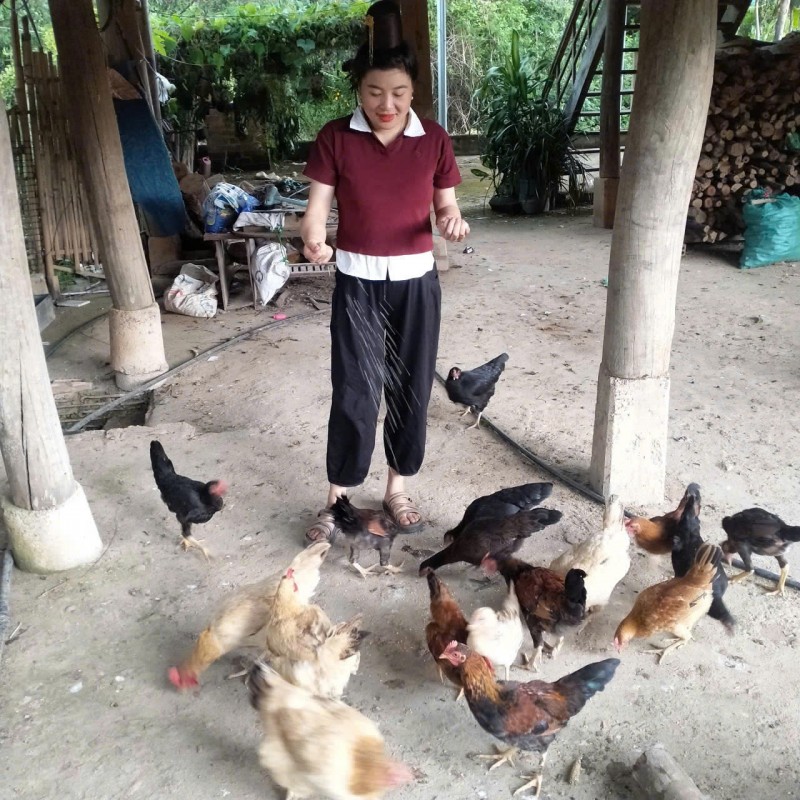 Giúp đồng bào biên giới Sơn La thoát nghèo bền vững nhờ dự án JMOFA Giúp đồng bào biên giới Sơn La thoát nghèo bền vững nhờ dự án JMOFA