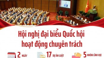 [Infographic] Hội nghị đại biểu Quốc hội hoạt động chuyên trách thứ nhất, nhiệm kỳ khóa XVI