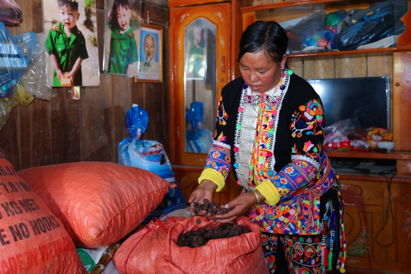 World Vision: sẻ chia cùng Dào San sau lũ dữ World Vision: sẻ chia cùng Dào San sau lũ dữ