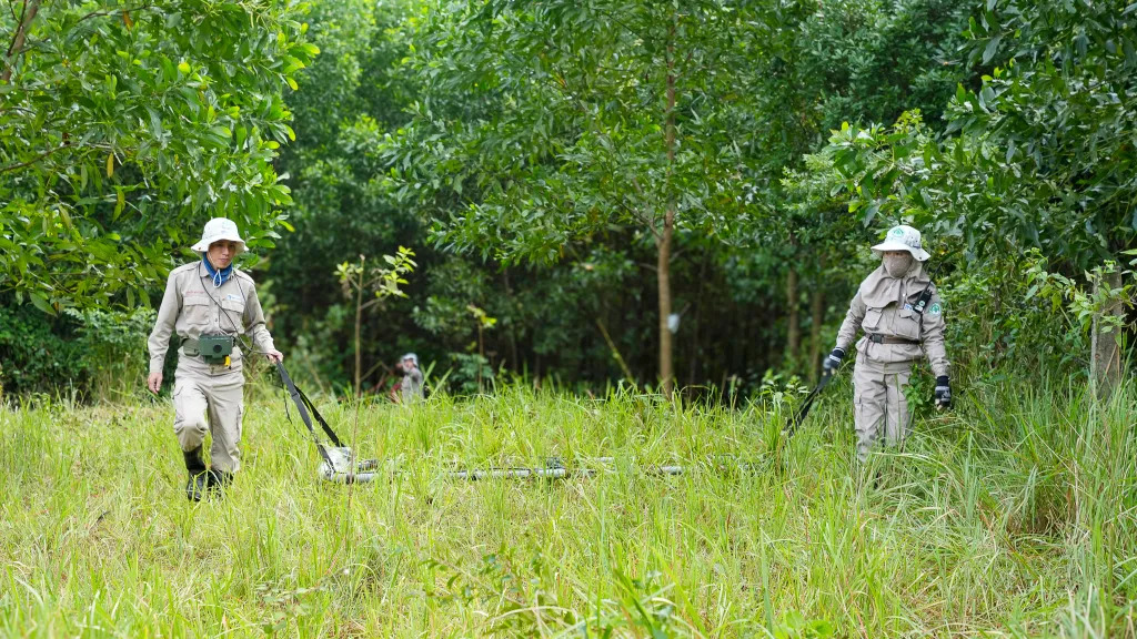 Quang Tri: Where War Memory Grows into Peace