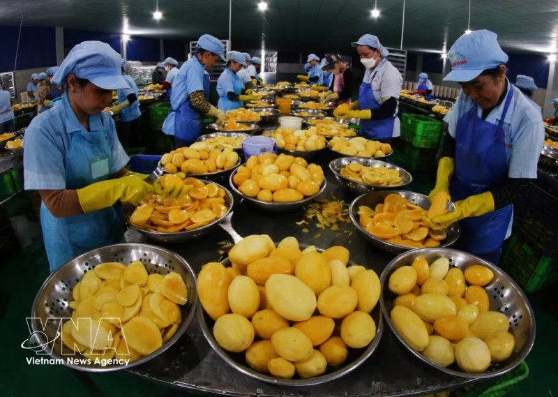 Vietnam News Today (Oct. 04): Vietnam Posts GDP Growth of 9.95% in Q3 Vietnam News Today (Oct. 04): Vietnam Posts GDP Growth of 9.95% in Q3