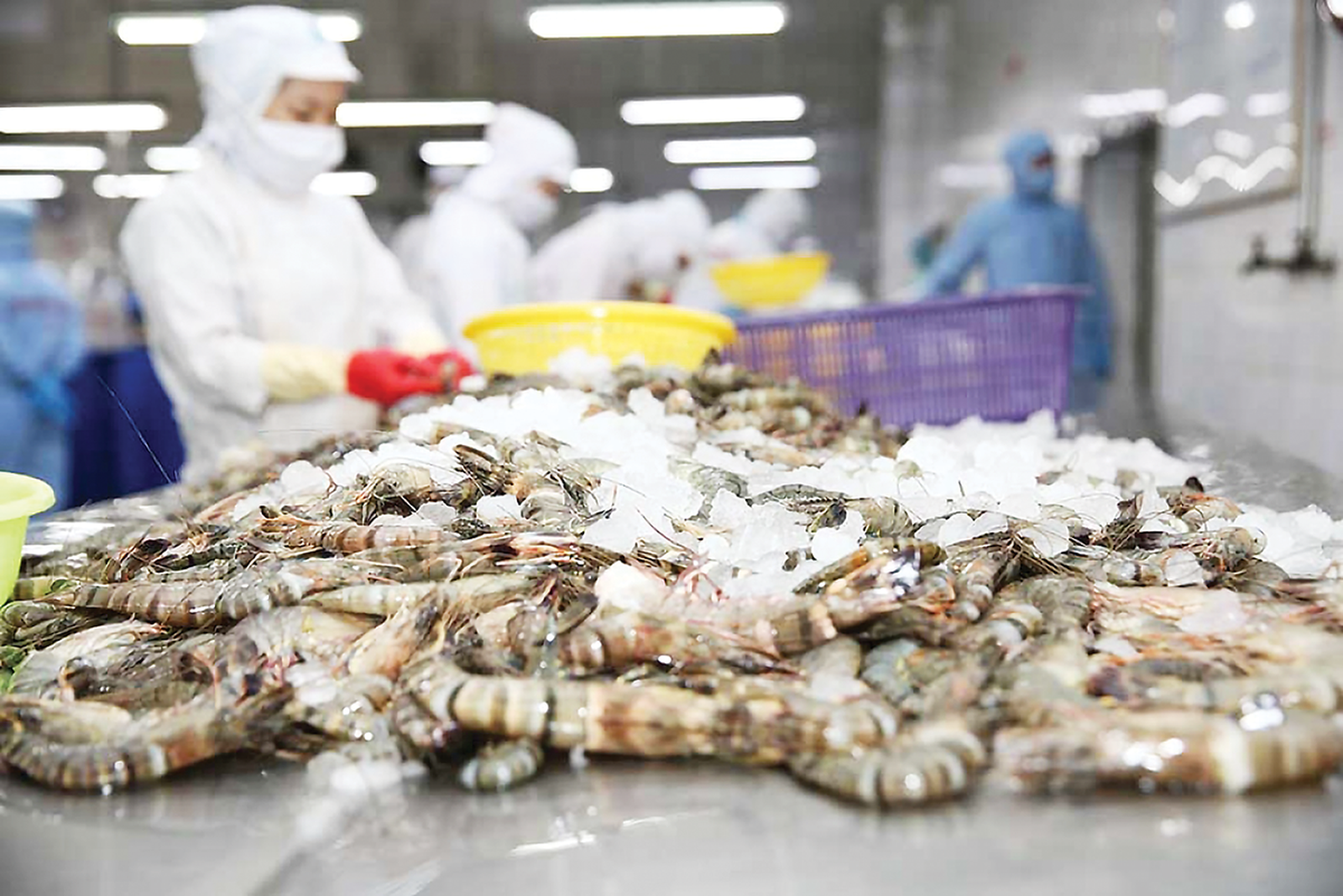 中国和香港市场成为越南水产品出口重要增长动力