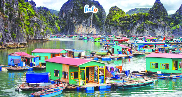 Vung Vieng Fishing Village on Ha Long Bay (Illustrative Photo)