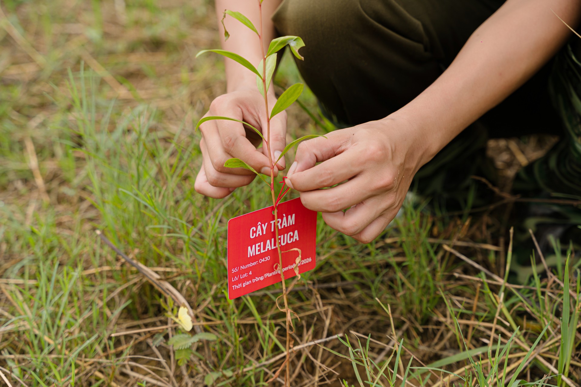 International Resources Support Climate Education and Forest Restoration in Thanh Hoa