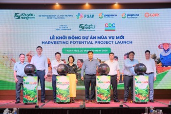 Phát triển mô hình chuỗi giá trị khoai tây bền vững tại Việt Nam