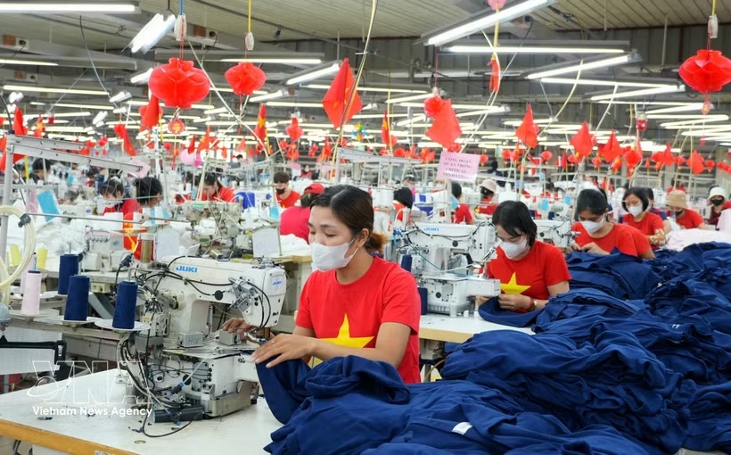 In the first eight months of 2026, Vietnam-Belgium trade increases 4.7% year-on-year to 3.1 billion USD. (Illustrative photo: VNA) In the first eight months of 2026, Vietnam-Belgium trade increases 4.7% year-on-year to 3.1 billion USD. (Illustrative photo: VNA)