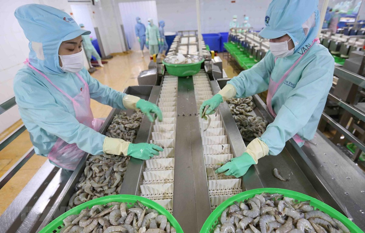 前9个月中国成为越南虾类出口增长的主要驱动力