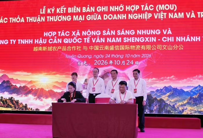 越南宣光省举行越中企业贸易对接会