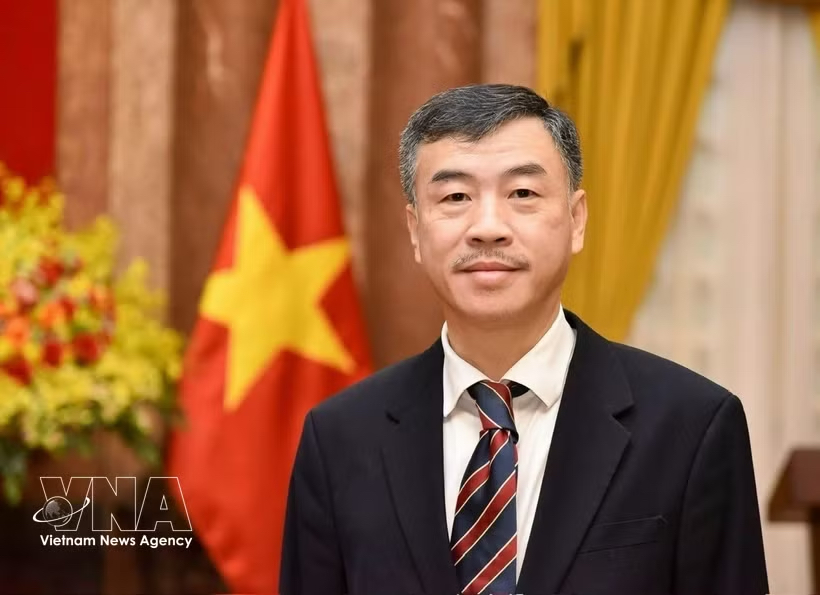 Vietnamese Ambassador to the Czech Republic Duong Hoai Nam (Photo: VNA)