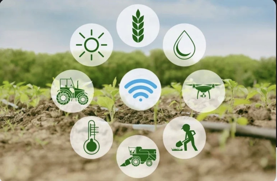 India’s farm story: A decade of Transformation India’s farm story: A decade of Transformation
