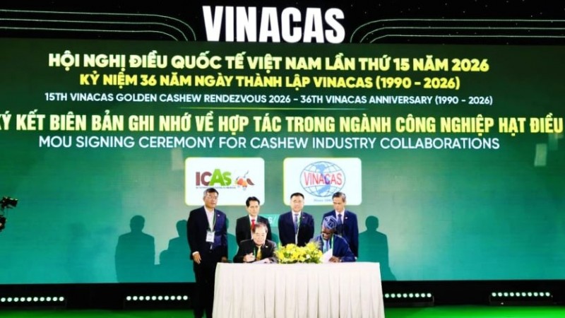 វិស័យគ្រាប់ស្វាយចន្ទីវៀតណាមចំពោះមុខតម្រូវការលើកកម្ពស់តម្លៃនាំចេញ