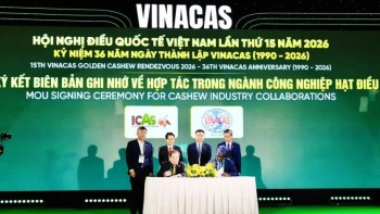 វិស័យគ្រាប់ស្វាយចន្ទីវៀតណាមចំពោះមុខតម្រូវការលើកកម្ពស់តម្លៃនាំចេញ