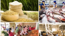 Экспорт сельскохозяйственной, лесной и рыбной продукции в январе достиг 3,7 млрд. долл. США