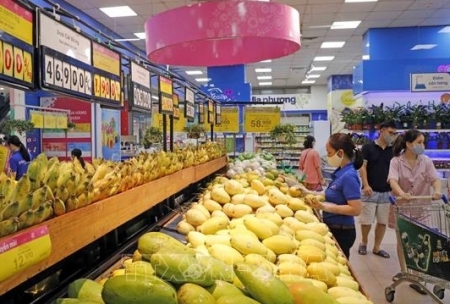 «Вьетнамцы отдают предпочтение отечественной продукции»: формирование новой потребительской культуры