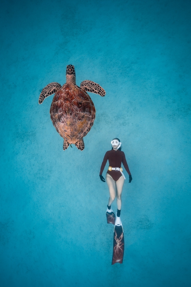 Вьетнамский фотограф получил награду Sony World Photography Awards 2023