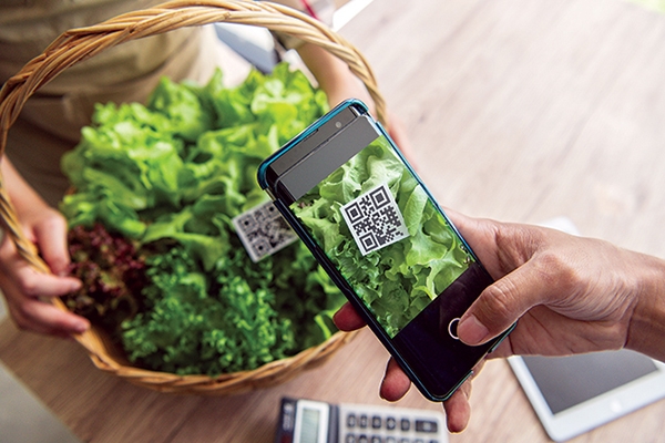 Цифровизация в отслеживаемости сельскохозяйственной продукции и продуктов питания