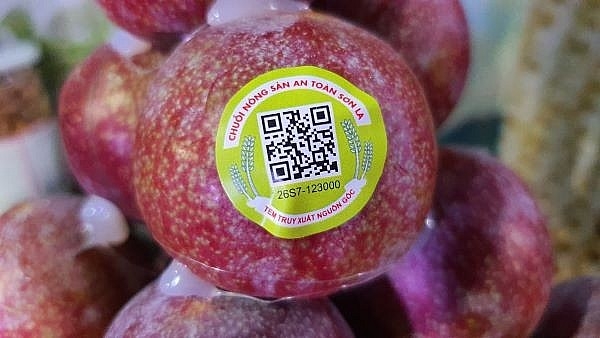 Цифровизация в отслеживаемости сельскохозяйственной продукции и продуктов питания