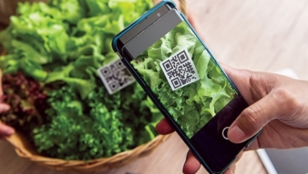 Цифровизация в отслеживаемости сельскохозяйственной продукции и продуктов питания