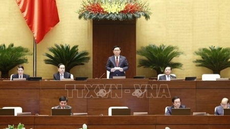 Во Вьетнаме начались парламентские слушания 3-й сессии Нацсобрания