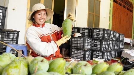 Расширенный потенциал для экспорта вьетнамской сельхозпродукции на рынок ЕС