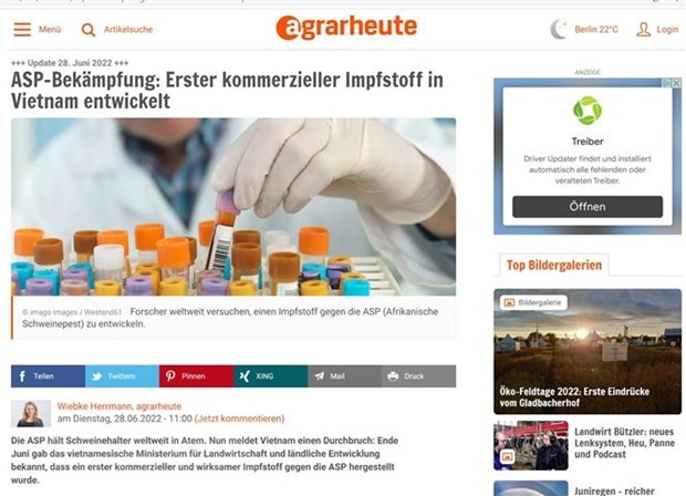 Немецкие СМИ: Вьетнаму удалось разработать вакцину против африканской чумы свиней