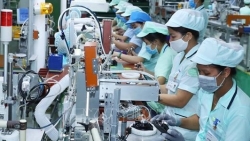 Предприятия-члены EuroCham положительно оценивают потенциал зеленого развития Вьетнама