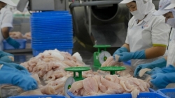 Вьетнам стремится стать ведущим мировым центром по переработке рыбной продукции к 2030 г.