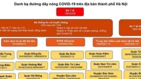 В Ханое открыты горячие линии по COVID-19