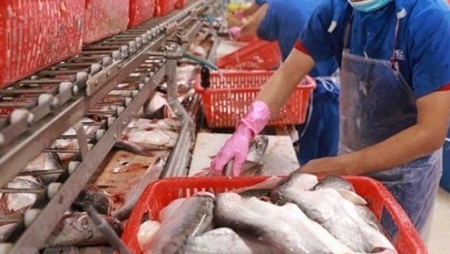Экспорт рыбной продукции резко упал из-за социального дистанцирования