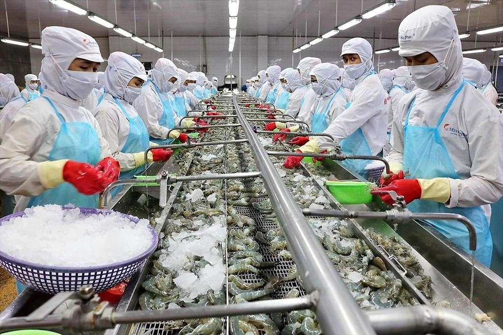 Экспорт морепродуктов из Вьетнама в Россию резко вырос с августа Экспорт морепродуктов из Вьетнама в Россию резко вырос с августа