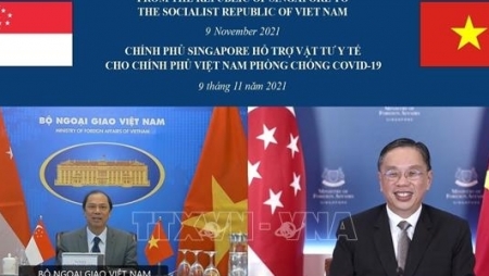 Укрепление и углубление вьетнамско-сингапурских отношений