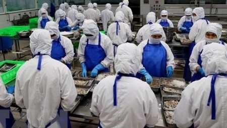 Экспорт морепродуктов Вьетнама может достигнуть 11 млрд долларов США