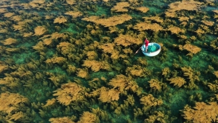 Красота Вьетнама представлена в фотографиях журнала National Geographic