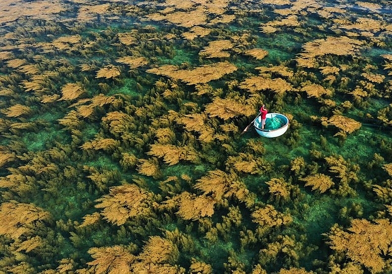 Красота Вьетнама представлена в фотографиях журнала National Geographic