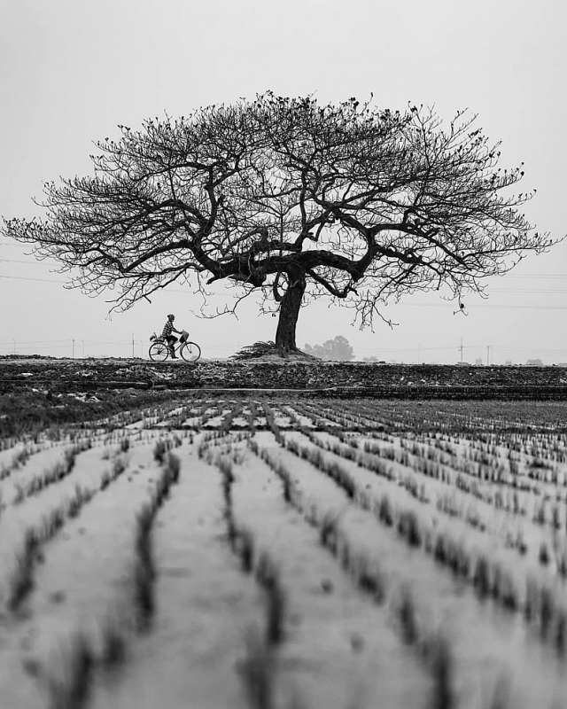 Красота Вьетнама представлена в фотографиях журнала National Geographic