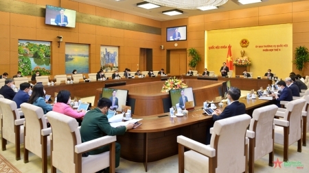 Открылось 8-е заседание Постоянного комитета НС