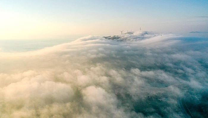 «Морской рай» очаровывает туристов в Куинёне «Морской рай» очаровывает туристов в Куинёне