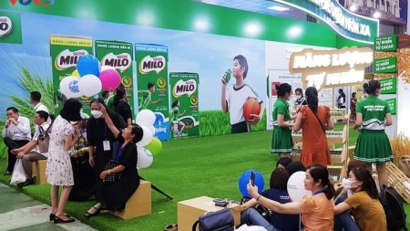 В выставке VIETNAM DAIRY 2022 принимают участие более 10 стран