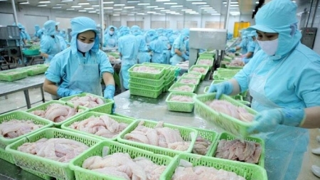 За первые 6 месяцев 2022 года экспорт вьетнамских морепродуктов составил 5,8 млрд долларов США
