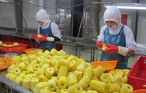 Консультации по экспорту сельскохозяйственной продукции на голландский рынок
