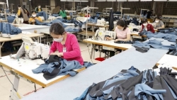 Иностранные газеты освещают экономические перспективы Вьетнама