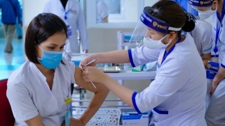 Вакцинация населения должна проводиться как можно быстрее