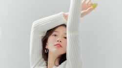chiem tinh ngay 242 ve cong viec cua 12 con giap tuoi mao