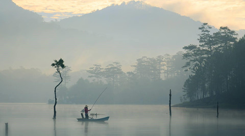 Khoảnh khắc Đà Lạt chìm trong sương đẹp tựa chốn thiên đường khoanh khac da lat chim trong suong dep tua chon thien duong